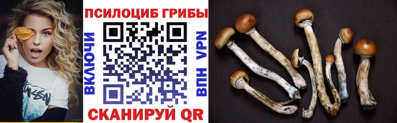 Псилоцибиновые грибы GOLDEN TEACHER  Санкт-Петербург 